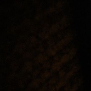 Meet your Posher, Angelina